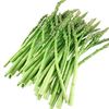 多年生芦笋种子四季绿色植物抗热耐寒冻不死高营养蔬菜种籽芦笋子