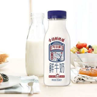 今日鲜奶铺鲜牛奶255ml*10瓶装儿童学生营养早餐奶