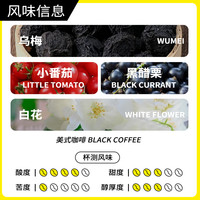 三木屿 「浆果商店」肯尼亚SOE 意式咖啡豆 250g