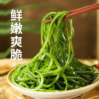 赶海弟GANHAIDI海带丝新鲜盐渍海带丝凉拌菜非裙带菜干货海产火锅源头直发包邮 盐渍海带丝