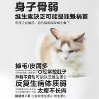 NOURSE 卫仕 复合维生素片猫咪多维生素b营养膏猫藓防掉毛宠物美毛补充剂