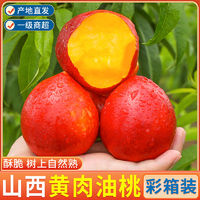 百亿补贴：御品一园 黄心油桃大桃子3/5/9斤应季新鲜水果现摘脆桃黄肉批发