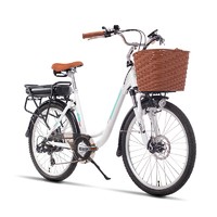 MS-EBIKE新国标24寸后衣架可拆锂电池助力自行车成人通用电车小型电动单车 48V10.4A前后碟刹
