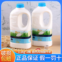 蒙牛自然风味酸牛奶1.1kg*2大桶装低温原味发酵乳