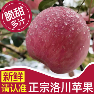 堡鲜生陕西洛川红富士苹果脆甜多汁时令新鲜水果生鲜苹果整箱 80-85mm带箱10斤（净重8.8斤）