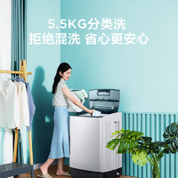 Midea 美的 5.5KG洗衣机全自动家用小型波轮租房宿舍适用 MB55V35E