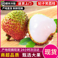 花蜜果 海南桂花香荔枝大果礼盒产地现摘新鲜整箱水果 优选果 1斤 泡沫箱+冰袋