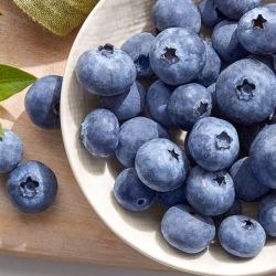 driscolls怡颗莓怡颗莓云南蓝莓新鲜当季蓝莓小果125g8盒酸甜