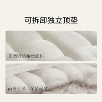 【M】栖作床垫浮生六记双弹簧系统分区可水洗家用双人卧室软垫