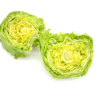 88VIP：GREER 绿行者 球生菜沙拉2kg（2-4颗）健康轻食新鲜蔬菜