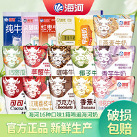 海河牛奶天津海河牛角包营养早餐奶风味奶 海河16种口味大集合（共计16包）