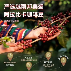 SAGOCAFE 西贡咖啡 越南进口美式低脂无蔗糖速溶纯黑咖啡健身提神