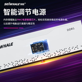 枭鲸 台式机内存条 DDR5 32G(16Gx2)套条5600 审判者系列