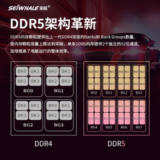 枭鲸 台式机内存条 DDR5 32G(16Gx2)套条5600 审判者系列