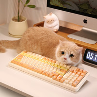 AUSDOM 阿斯盾 喵咪猫主题三模无线客制化机械键盘全键麻将静音笔记本台式电脑