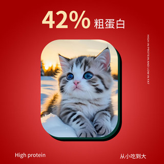 宠睦家鲜肉无谷全价猫粮幼猫猫粮老年成猫猫粮布偶高蛋白低脂1.5kg*4