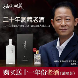 仙风洞藏洞藏二十年老酒粮食老酒五粮浓香型白酒银标52度42vol500ml1