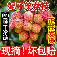 妃子笑 荔枝海南广东新鲜当季水果净重4.5斤18g整箱