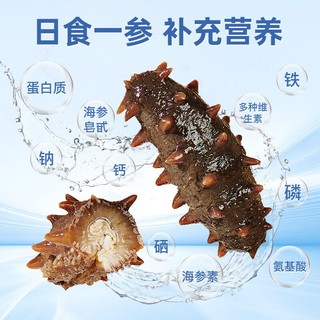 辽参 海参大连非即食海参冷冻辽参生鲜海鲜水产500g固形物80%以上