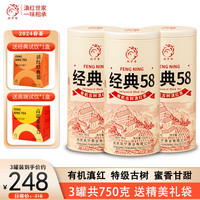 凤宁号云南凤庆滇红金针2024新茶特级蜜香有机古树红茶口粮散茶叶经典58 3罐装750g