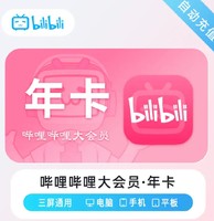 bilibili 哔哩哔哩 大会员B站vip会员 12个月