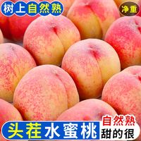 百亿补贴：御品一园 水蜜桃毛桃大桃子9斤单果180g以上新鲜水果当季应季脆甜密桃批发