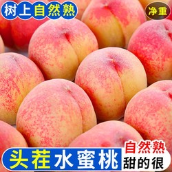 御品一园 水蜜桃毛桃大桃子9斤单果180g以上新鲜水果当季应季脆甜密桃批发