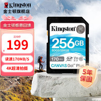 Kingston 金士顿 SDG3系列 SD存储卡 256GB（USH-I、V30、U3）