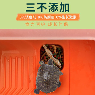 森森 小乌龟饲料通用龟龟粮鱼干虾干幼龟巴西龟草龟龟料颗粒粮 SLG-006/3mm六合一龟粮 1000ml