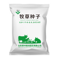 美外 牧草种子 四季收割  甜高粱抗旱高产畜牧养殖 菊苣1斤