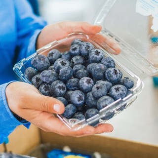 怡颗莓新鲜水果云南蓝莓125g*6/8盒中果酸甜口感