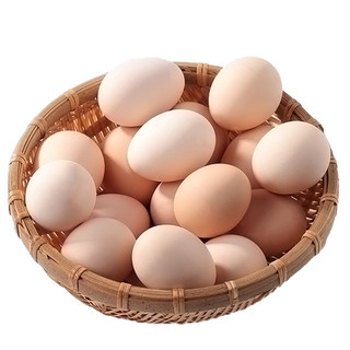 筱诺 新鲜农村土鸡蛋20枚 散养自养天然柴鸡蛋笨鸡蛋草鸡蛋40g以上