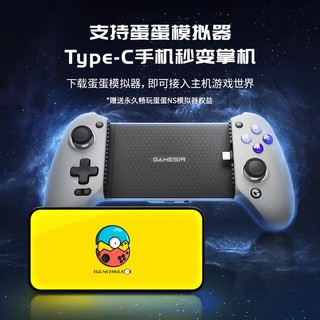 GameSir 盖世小鸡 G8 射手座 Type-C游戏手柄