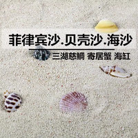 悠梵萌 贝壳沙珊瑚沙三湖缸造景底砂海缸底砂白沙珊瑚砂1斤装