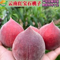 钱小二 云南红宝石桃 水蜜桃 5斤