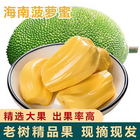 菠萝蜜海南特产当季热带水果新鲜采摘整个香甜可口 20-25斤（清甜可口）