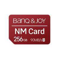BanQ &JOY 256GB NM card