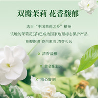 麦多维多大茉莉龙井绿茶茉莉花茶无糖0卡饮料瓶装整箱大容量750ml