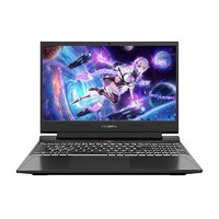 COLORFUL 七彩虹 隐星G15 15.6英寸游戏本（i7-13620H、16GB、RTX4060、165Hz、）