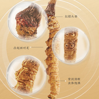 北京同仁堂 冬虫夏草-40/10g 冬虫草礼盒 养生补品【好滋补认证】野生冬虫夏草 【礼盒装】冬虫夏草 40/10g