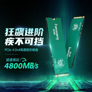 FANXIANG 梵想 高速固态硬盘SSD M.2接口PCIe4.0x4 台式机笔记本电脑配件