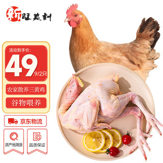 三黄鸡1kg*2只 冷冻新鲜鸡肉散养鸡走地鸡煲汤食材   源头直发