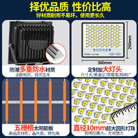 雷迪朗 太阳能灯户外照明灯庭院灯超亮大功率新型防水室内外家用LED路灯