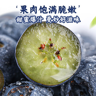 京丰味蓝莓水果 国产新鲜大蓝莓 时令水果蓝梅 整箱1斤装 大果 约15-19mm