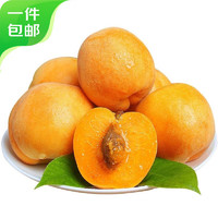 京鲜生 国产大黄杏 净重3斤 单果50g起