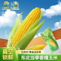 农投康良 国企品质东北新鲜黄糯玉米非转基因真空独立包装批发