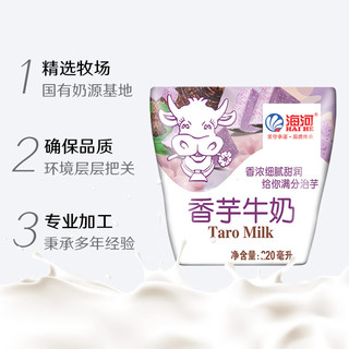 海河牛奶天津海河牛角包营养早餐奶风味奶 海河香芋牛奶220ml*10包