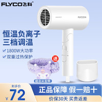 FLYCO 飞科 电吹风 家用便携 FH6276 白色+酷洛米发带 组合款