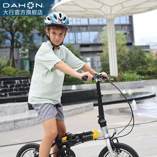 大行（DAHON） 自行车头盔青少年男女骑行头盔轮滑护具 浅蓝色