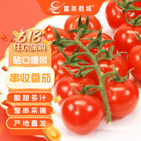 富美鹤城 串收樱桃番茄新鲜小西红柿198g*4盒源头直发